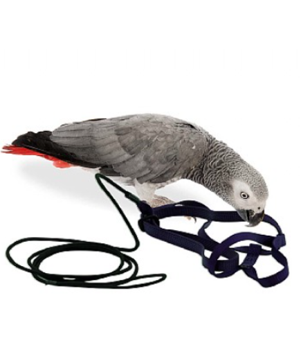 The Aviator Parrot Harness - Medium - 6 Colours 